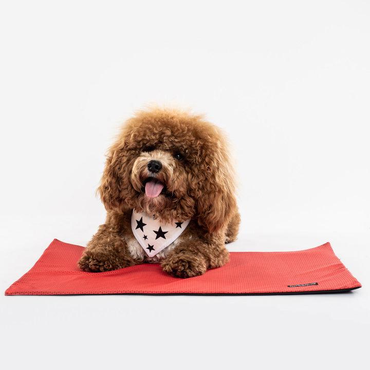 Cooling Dog Mat