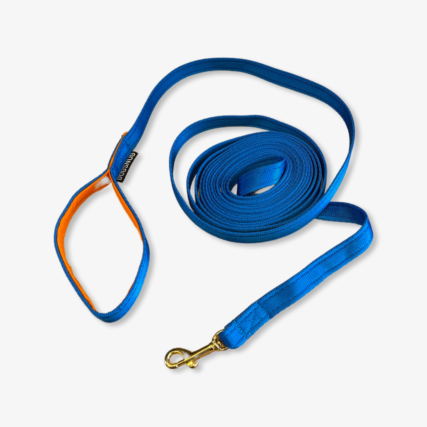 Recall Training Puppy and Dog Lead 5mtr
