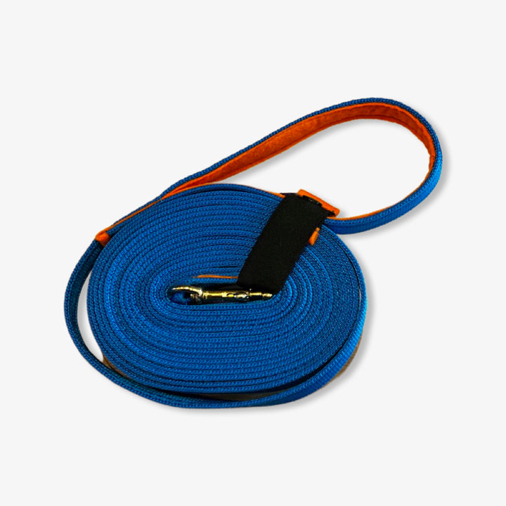 Recall Training Puppy and Dog Lead 5mtr
