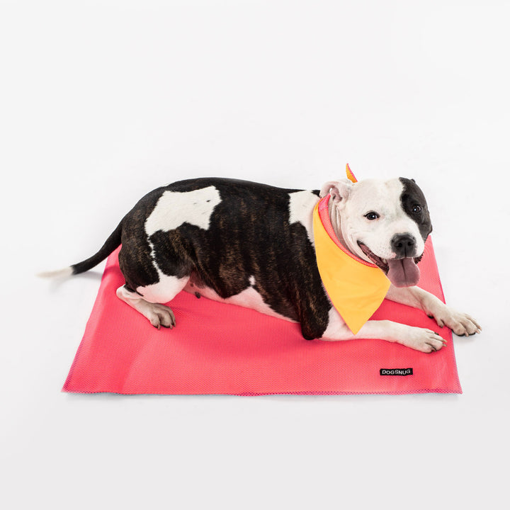 Cooling Dog Mat