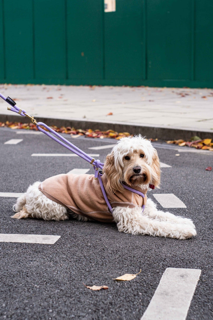 Fleece Dog Jumper AW 22/23 Colours