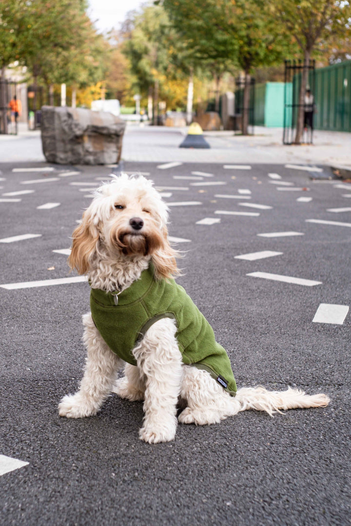 Fleece Dog Jumper AW 22/23 Colours