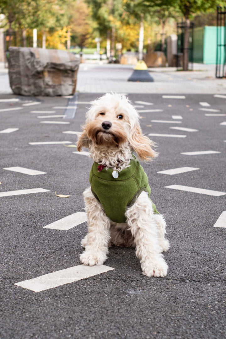 Fleece Dog Jumper AW 22/23 Colours