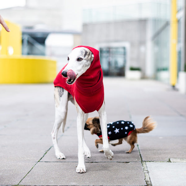 Fido fleece sales size 18