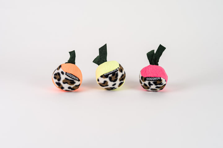 the fruits from the Dog Treat Puzzle Toy