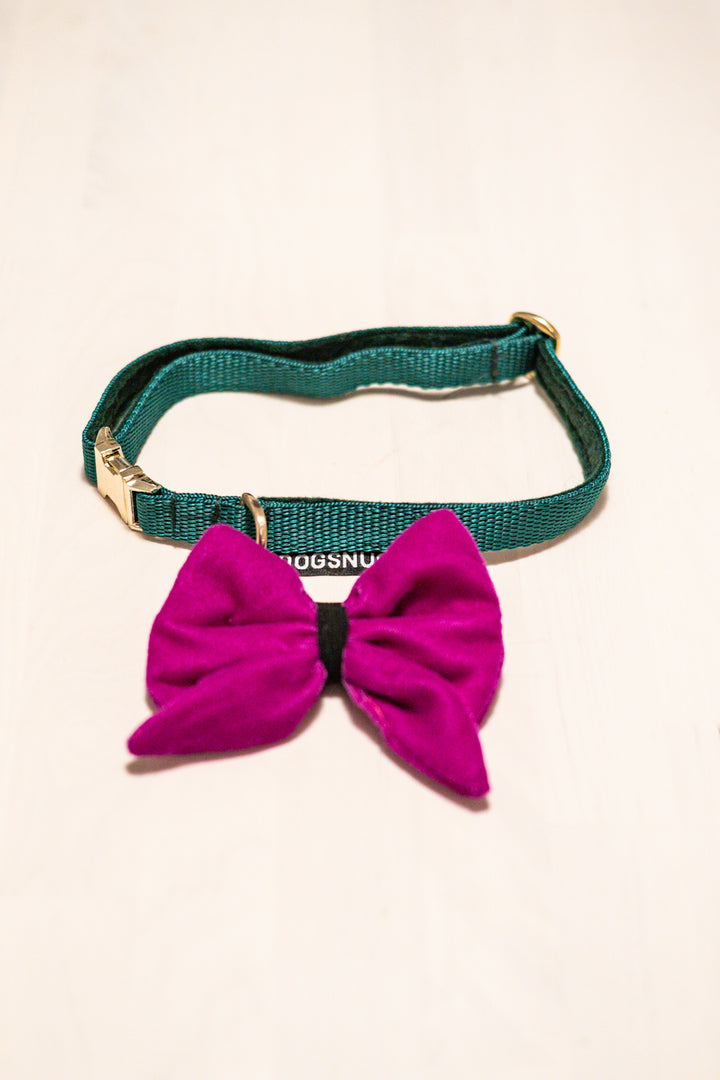 The Velvet Bow & Gold Clip Collar Set