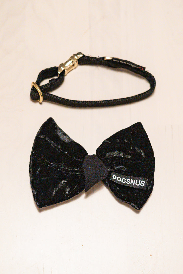 The Velvet Bow & Gold Clip Collar Set