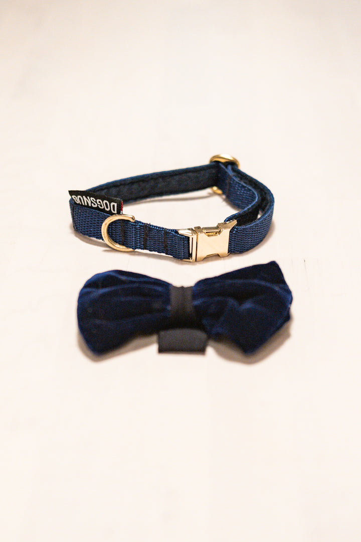 The Velvet Bow & Gold Clip Collar Set