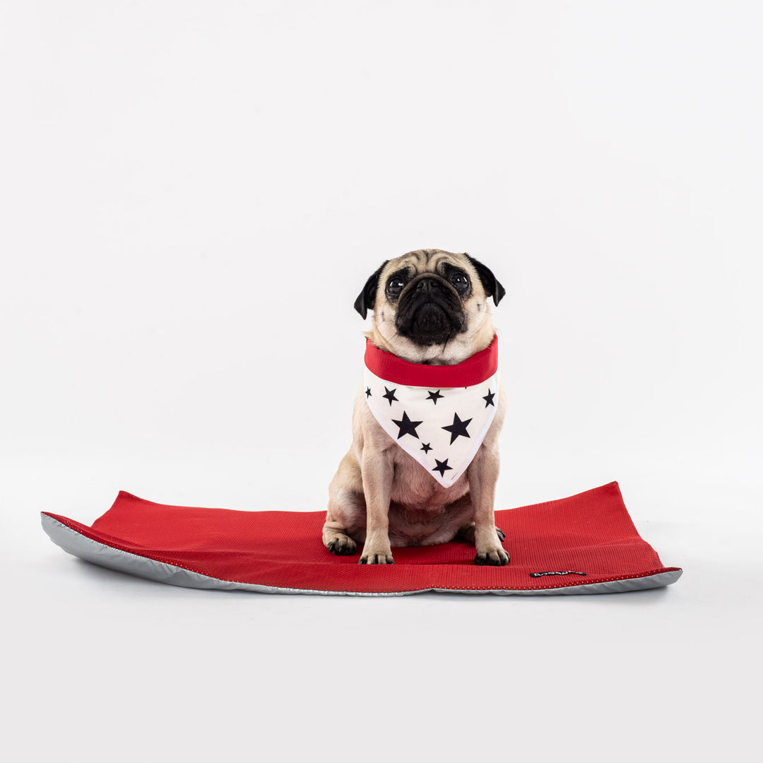 Cooling Dog Mat