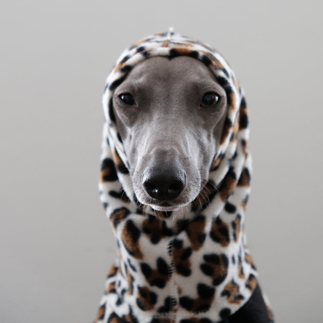 Dog Snood
