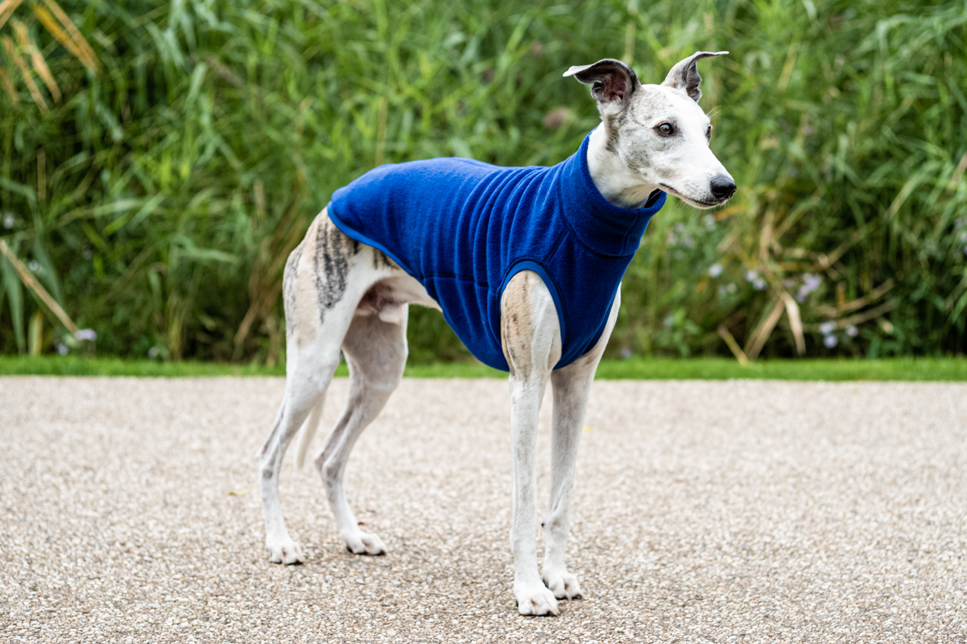 Fleece Dog Jumper Royal Colours