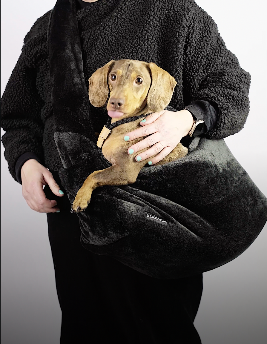 So Fluffy Puppy Dachshund Dog Carrier Dogsnug
