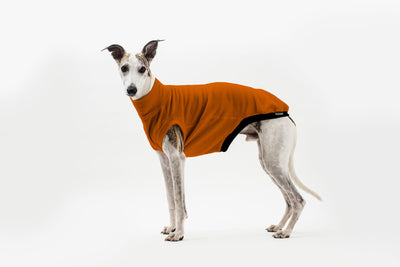 Water Repellent Fleece Jumper Rust Sighthound
